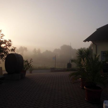 Weingut Hans Bausch Hattenheim Exterior foto