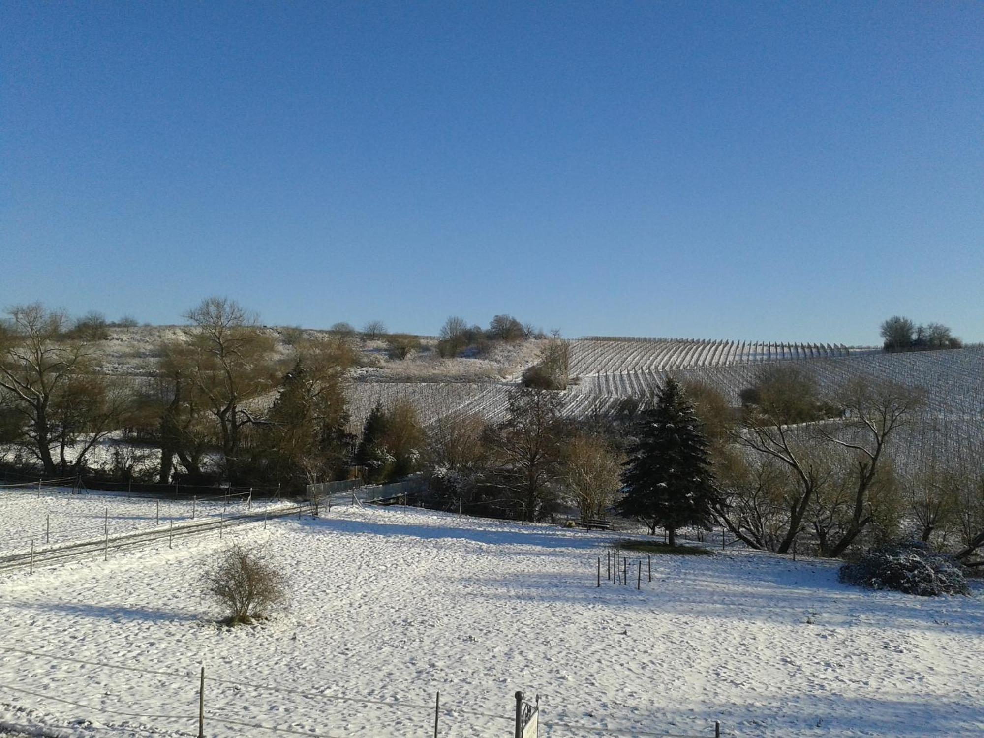 Weingut Hans Bausch Hattenheim Exterior foto