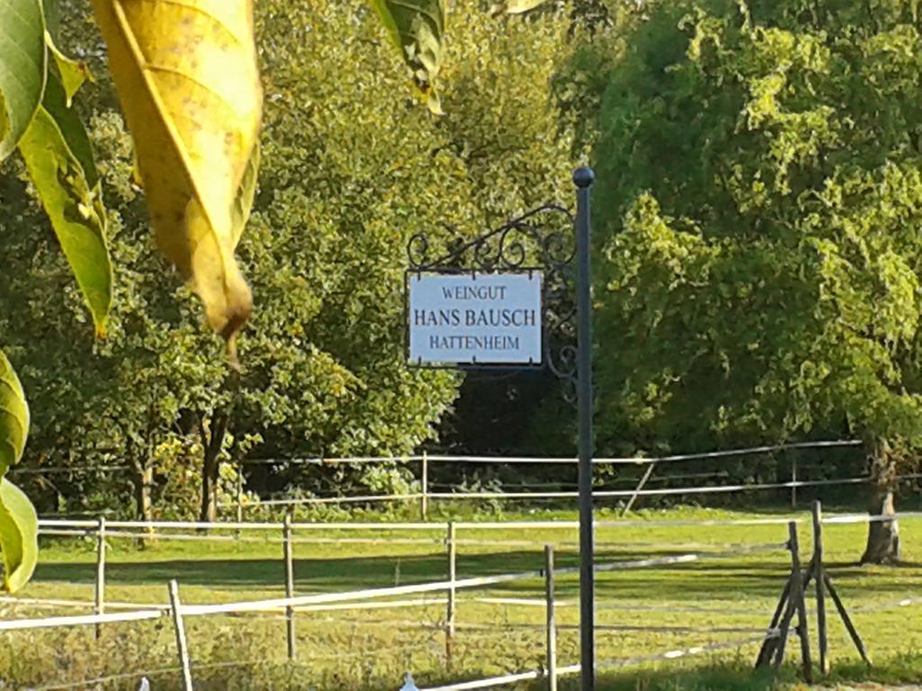 Weingut Hans Bausch Hattenheim Exterior foto